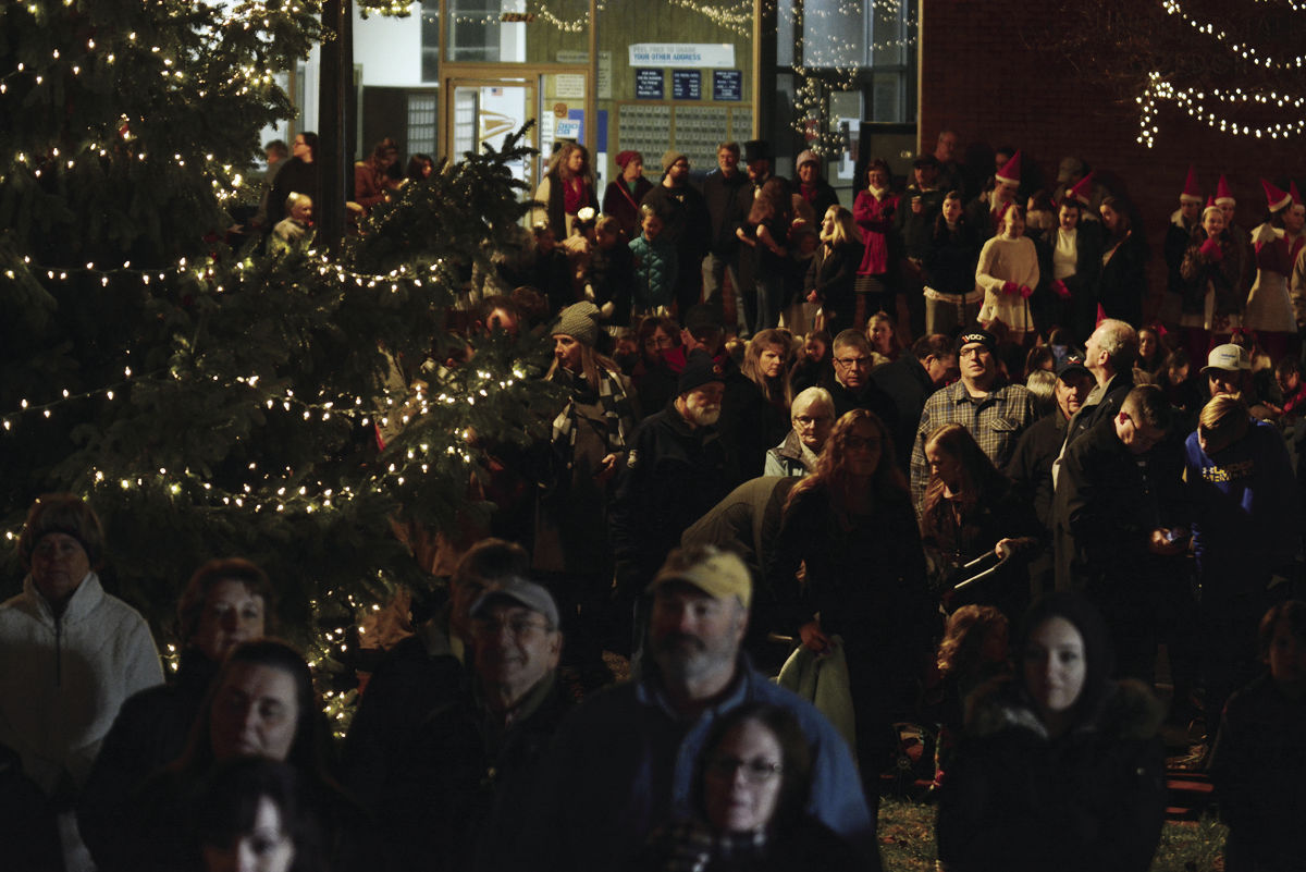 J-ToG-tree lighting_3390.jpg